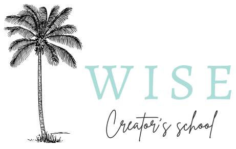 WISE creators's school